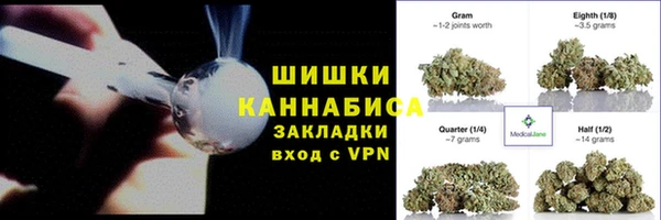 PSILOCYBIN Богданович