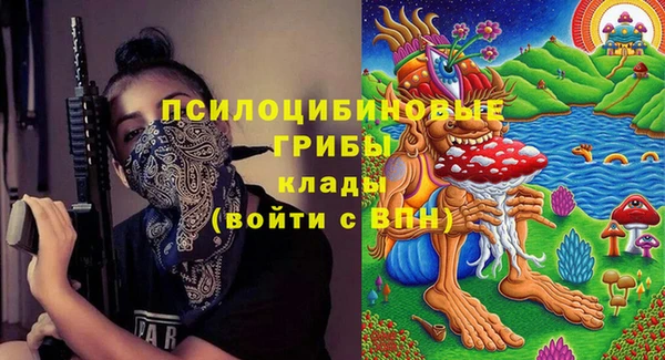 прущие грибы Заводоуковск