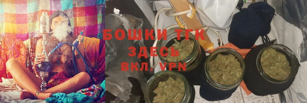 PSILOCYBIN Богданович