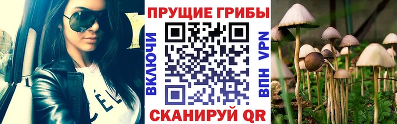 даркнет сайт  omg как войти  Галлюциногенные грибы мухоморы  Константиновск 